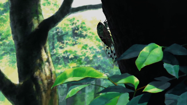 Niji-iro hotaru: Eien no Natsuyasumi Niji-iro hotaru: Eien no Natsuyasumi