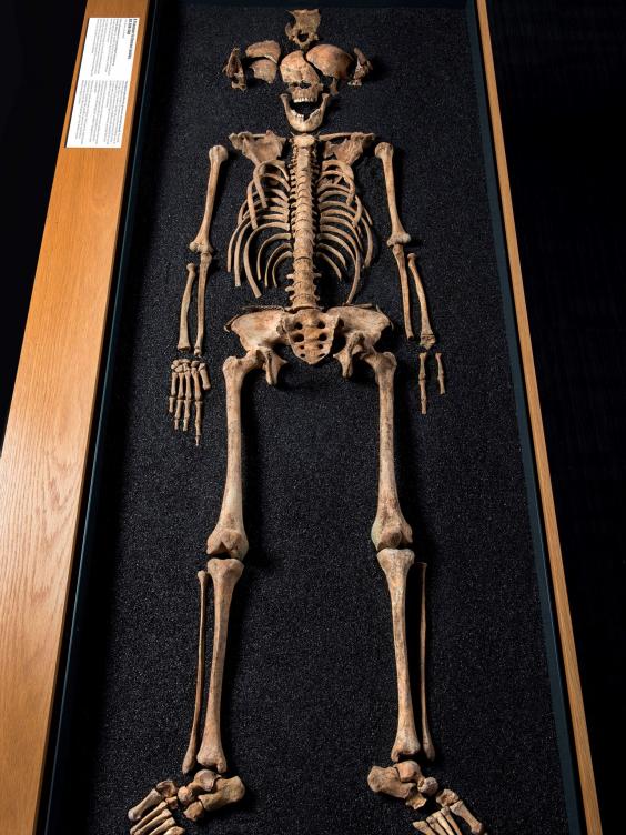 Two ancient Chinese skeletons found in London Roman cemetery Two ancient Chinese skeletons found in London Roman cemetery