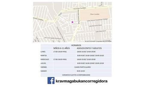 Krav Maga Corregidora, fracc., Av. Camino Dorado 3, Corregidora, Candiles, Qro., México, Escuela de defensa personal | QRO
