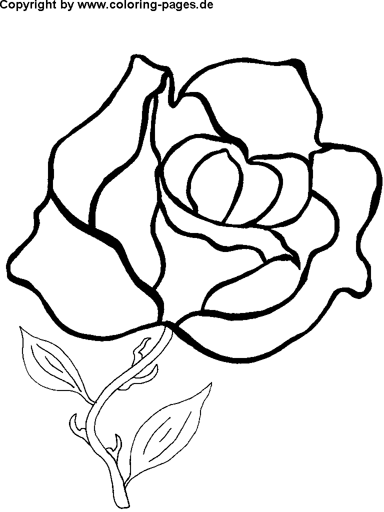 Rangoli Colouring Pages Activity Village - cool design coloring pages to print