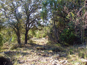 Senderismo - Portell de Morella - Rambla Sellumbres PR-CV 408