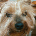 Benny K.