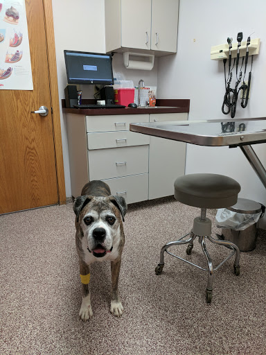 Veterinarian «Morris Veterinary Clinic Inc», reviews and photos