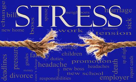 Signs of Being Overstressed and How to Deal With it