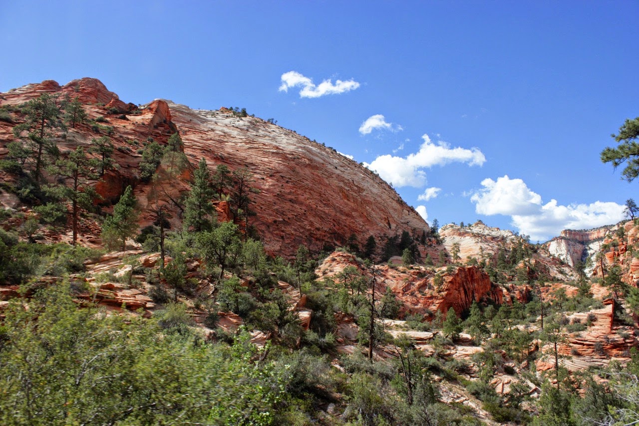 Día 11: Visita a Bryce y llegada a Zion - Parques nacionales del oeste de EEUU and more (47)
