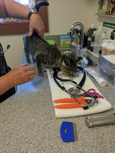 Veterinarian «Beavercreek Animal Hospital», reviews and photos