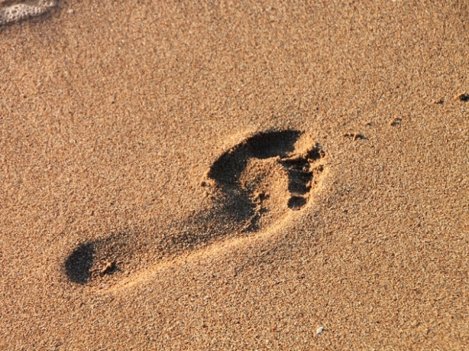 Tweak in gene expression may have helped humans walk upright Tweak in gene expression may have helped humans walk upright