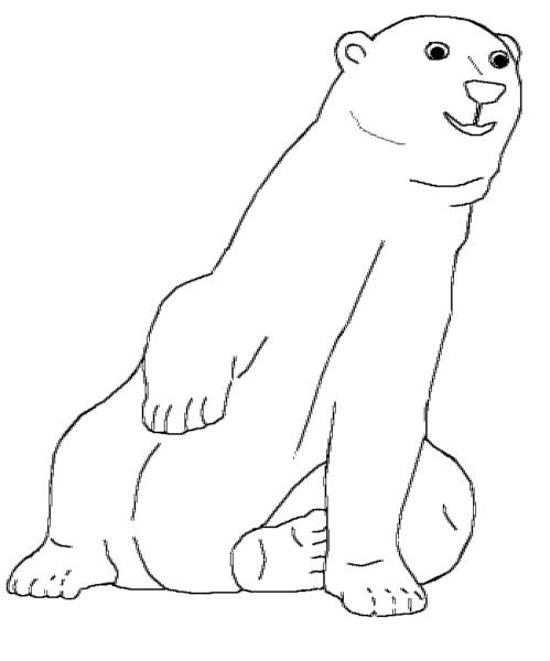 Polar Bear Printout- EnchantedLearning - polar bear coloring pages