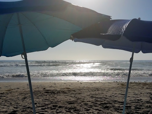 State Park «Moonlight State Beach», reviews and photos, 400 B St, Encinitas, CA 92024, USA