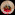 HQSP