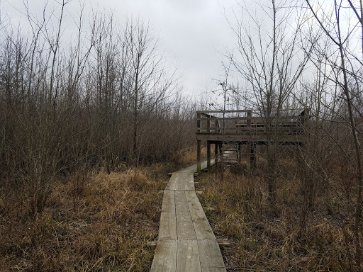 Nature Preserve «Beanblossom Bottoms Nature Preserve - Sycamore Land Trust», reviews and photos, N Woodall Rd, Ellettsville, IN 47429, USA