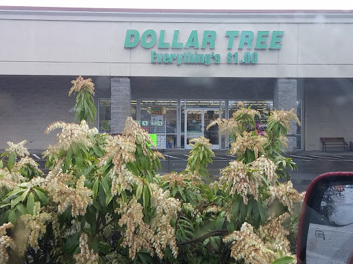 Dollar Store «Dollar Tree», reviews and photos, 19980 SE Hwy 212, Damascus, OR 97089, USA