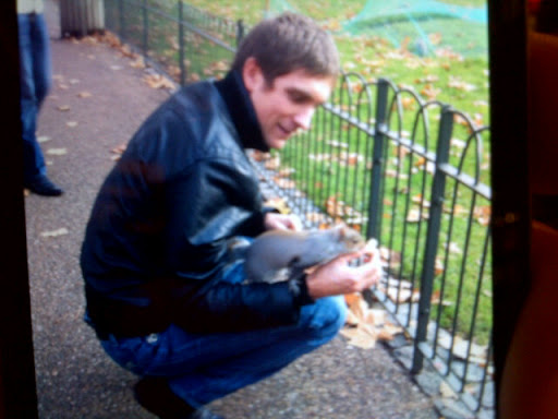petrov_belka_squirrel_nov2011.jpg