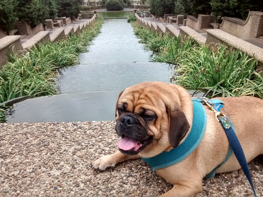 Park «Meridian Hill Park», reviews and photos, 2400 15th St NW, Washington, DC 20009, USA