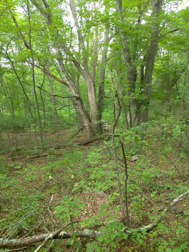 State Park «Dighton Rock State Park», reviews and photos, Bayview Ave, Berkley, MA 02779, USA