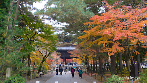 南禅寺 三門前
