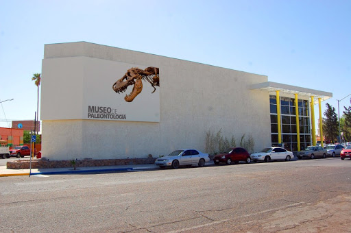 Museo de Paleontología de Delicias, Avenida Río Chuviscar Norte #2, Centro, 33000 Delicias, CHIH, México, Museo de historia | CHIH