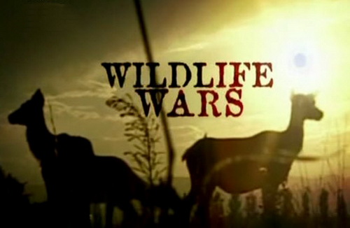 Wojny o dziką przyrodę / Wildlife Wars (2004) PL.TVRip.XviD / Lektor PL Wojny o dziką przyrodę / Wildlife Wars (2004) PL.TVRip.XviD / Lektor PL