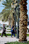 Sharjah - UAE - December 10, 2008 - Sharjah is the third largest city (after Dubai and Abu Dhabi) in the United Arab Emirates. The palace of the ruler of the Emirate of Sharjah (Sultan bin Mohamed Al-Qasimi) is located about 20 kilometres (12 mi) southeast of the city. - Picture Vittorio Ubertone/IdeaMarketing Sharjah - UAE - December 10, 2008 - Sharjah is the third largest city (after Dubai and Abu Dhabi) in the United Arab Emirates. The palace of the ruler of the Emirate of Sharjah (Sultan bin Mohamed Al-Qasimi) is located about 20 kilometres (12 mi) southeast of the city. - Picture Vittorio Ubertone/IdeaMarketing