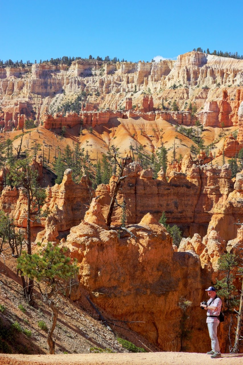 Día 11: Visita a Bryce y llegada a Zion - Parques nacionales del oeste de EEUU and more (23)