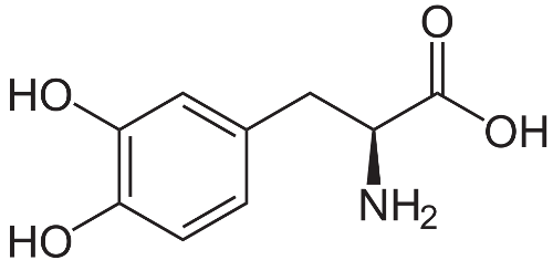 Structure Of  Levodopa