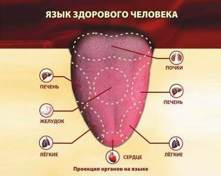 Болезнь коренных зубов Болезнь коренных зубов
