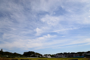 AF-S NIKKOR 24-85mm f/3.5-4.5G ED VR　：　24mm　f/8　1/400秒　ISO100