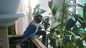 IMAG0410.jpg