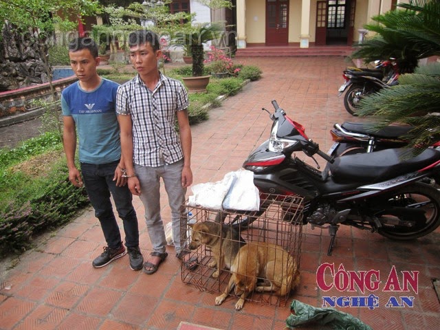 Nguyễn Văn Trường và Tô Hữu Đường bị bắt giữ cùng tang vật