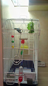 IMAG0417.jpg