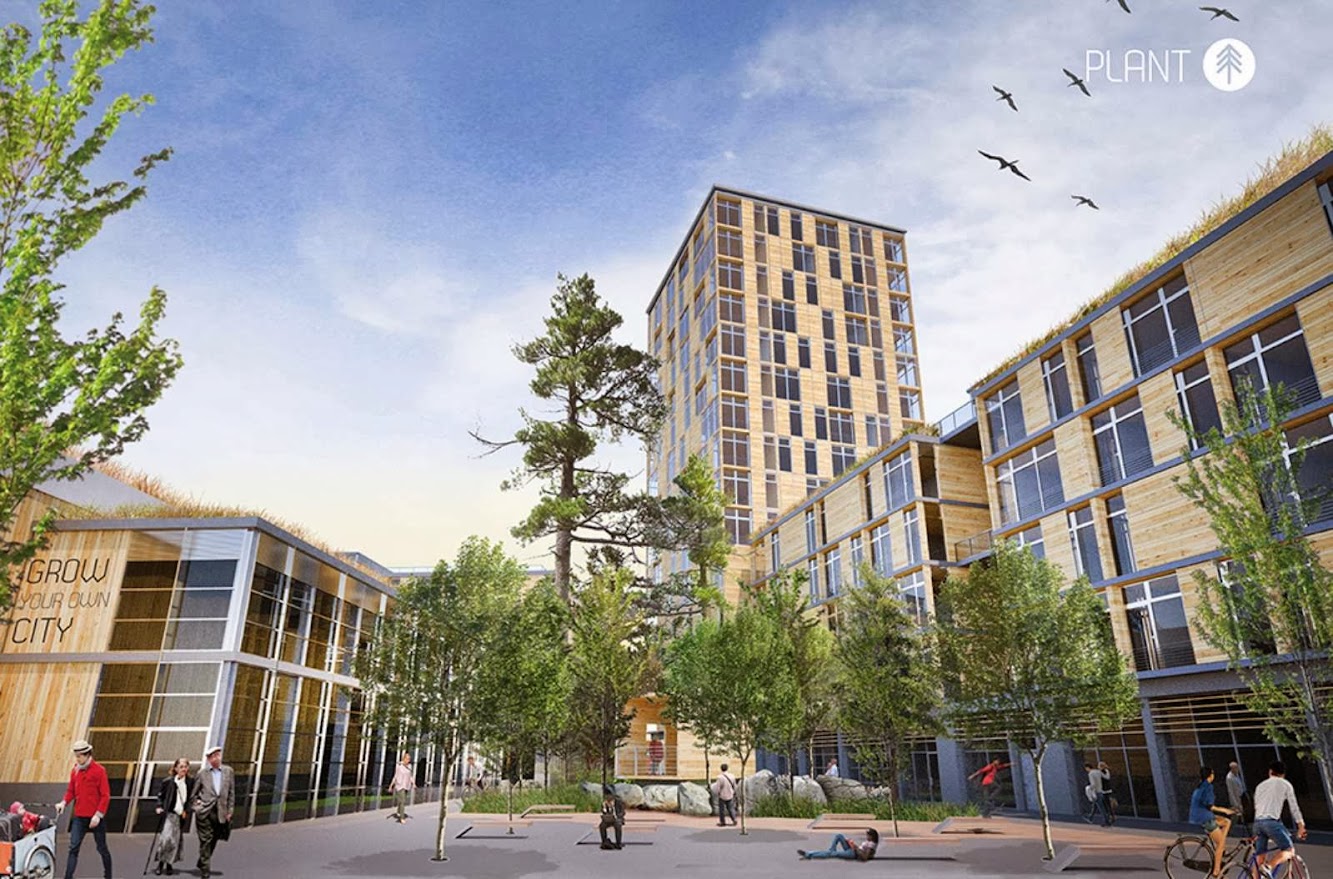 Grow Your Own City Wins Timber in the