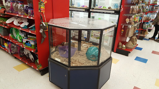 Pet Supply Store «Petco Animal Supplies», reviews and photos, 9 W Avon Rd, Avon, CT 06001, USA