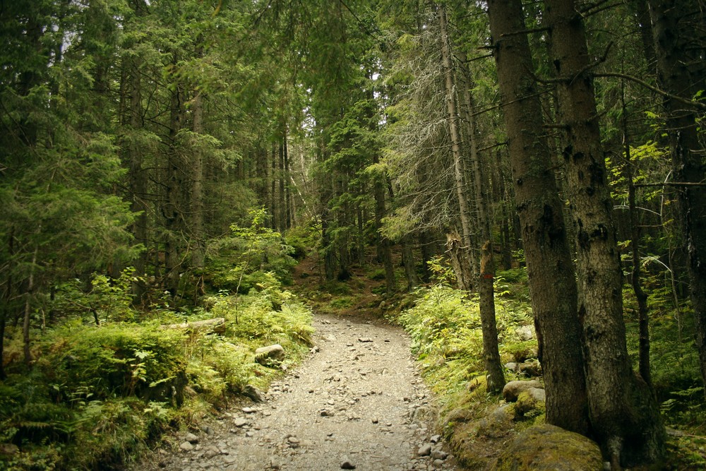 Dolina Kieżmarska Dolina Kieżmarska