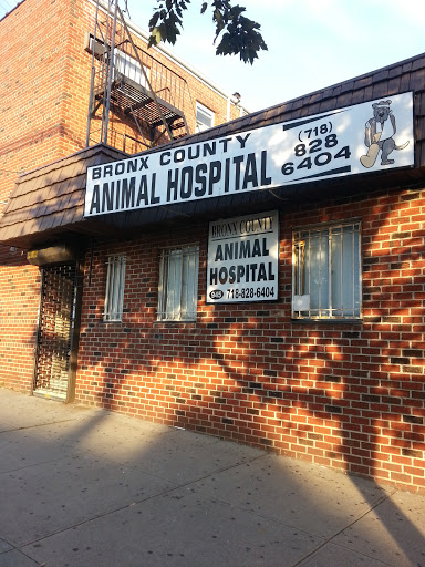 Animal Hospital «Bronx County Animal Hospital», reviews and photos
