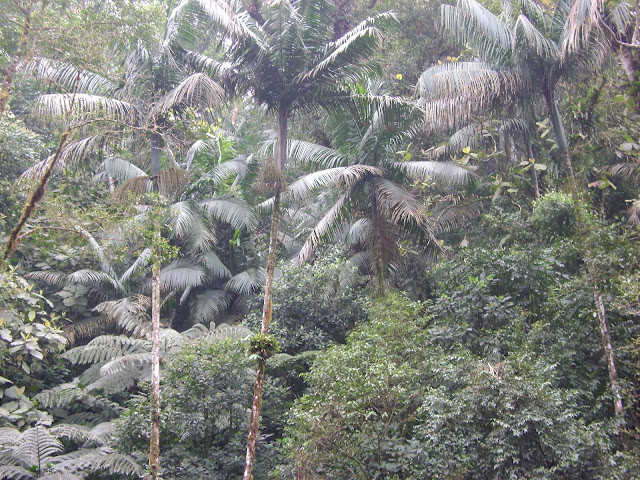 Parque Estadual Intervales Parque Estadual Intervales