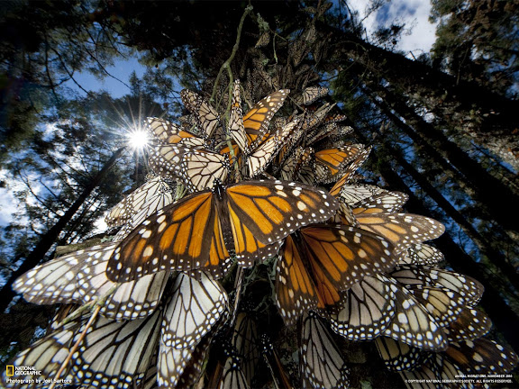  National Geographic
