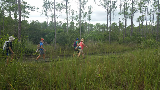 Nature Preserve «Cypress Creek Natural Area», reviews and photos, 10035 W Indiantown Rd, Jupiter, FL 33478, USA