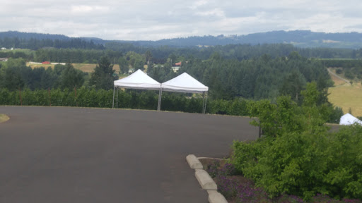 Vineyard «Ponzi Winery», reviews and photos, 19500 SW Mountain Home Rd, Sherwood, OR 97140, USA