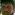 AADIL
