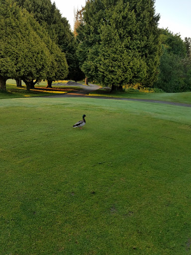 Park «West Seattle Golf Course», reviews and photos, 4600 35th Ave SW, Seattle, WA 98126, USA