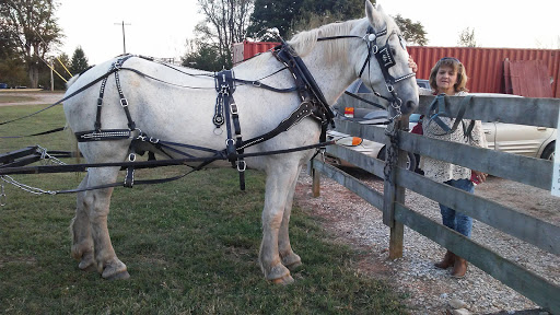 Farm «Rockn B Horse Carriage», reviews and photos, 765 Richpond Rockfield Rd, Rockfield, KY 42274, USA