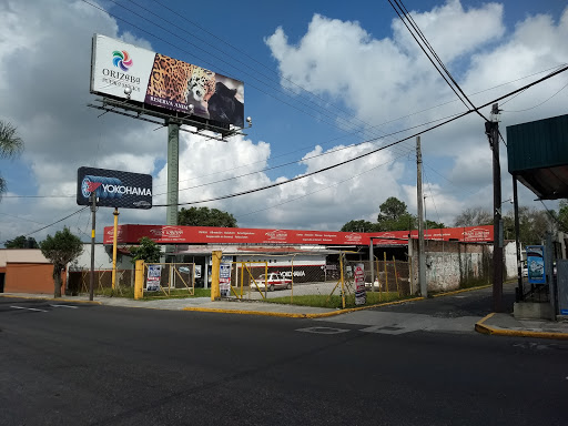 Plaza Llantera, Prol. de Ote 6 980, Miguel Alemán, 94340 Orizaba, Ver., México, Servicio de alineación de ruedas | VER