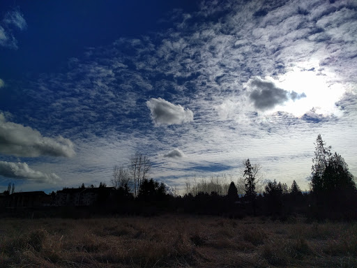 Park «N. Creek Park», reviews and photos, 1011 183rd St SE, Bothell, WA 98012, USA