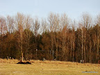 Kliknij by wejść http://lh5.googleusercontent.com/-lplD6pzl8dE/TyVxF6WErpI/AAAAAAAAJec/E3OAw3QrN0k/s144/saperski-inscenizacja-zlot%25C3%25B3w-2012-6.JPG