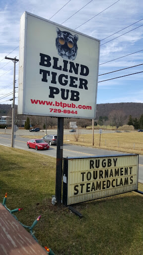 Pub «Blind Tiger Pub», reviews and photos, 4402 Watson Blvd, Johnson City, NY 13790, USA