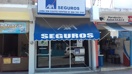 Seguros Qualita, Calle Melchor Ocampo 1208, Villalta, 96039 Acayucan, Ver., México, Agencia aseguradora de automóviles | VER