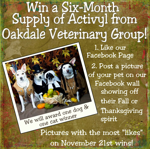 Veterinarian «Oakdale Veterinary Group», reviews and photos