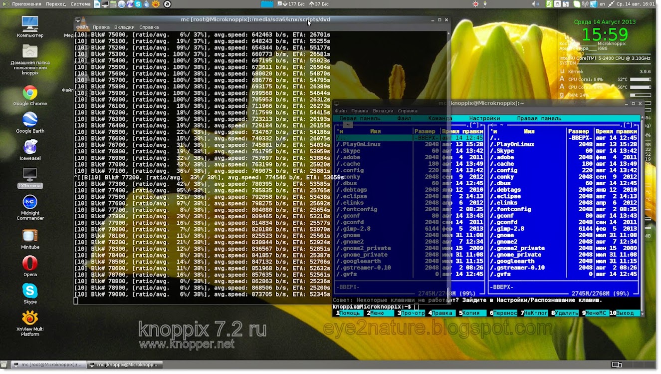 wireshark торрент