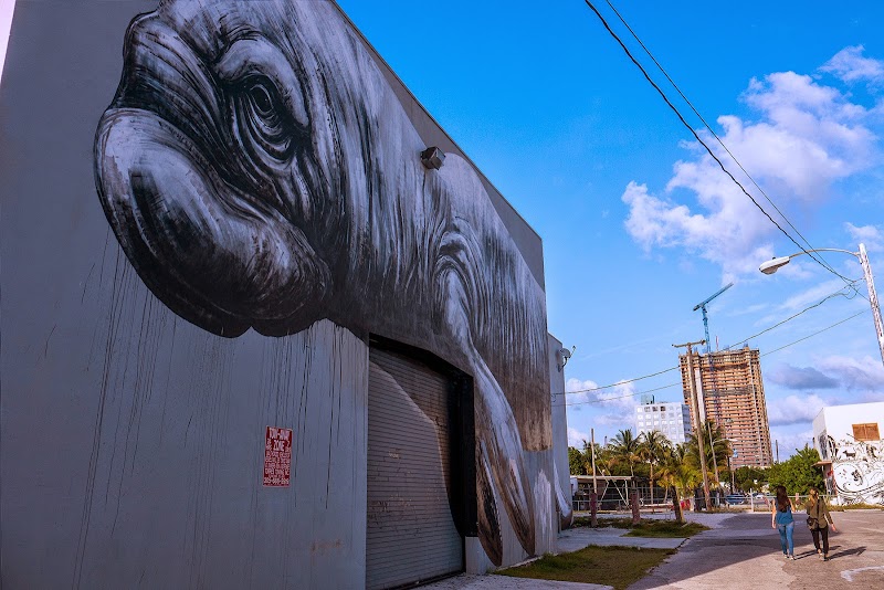 Street Artist ROA