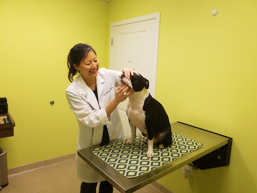 Veterinarian «Belmont Animal Hospital of Chicago», reviews and photos